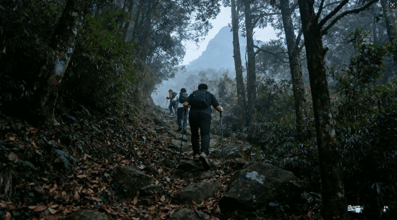 如何做出明智的选择：掌握决策的艺术与技巧